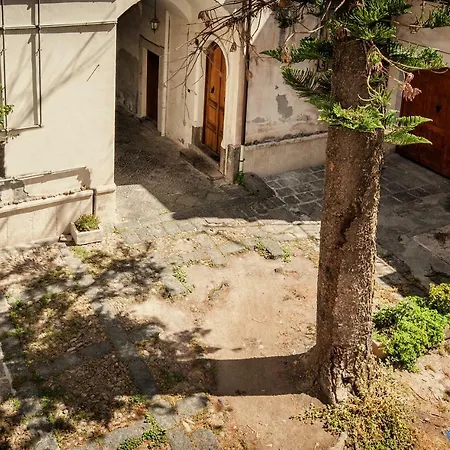 City Flats Apartment